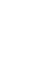 Recraft V3